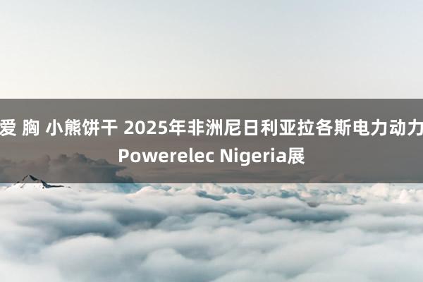 文爱 胸 小熊饼干 2025年非洲尼日利亚拉各斯电力动力展Powerelec Nigeria展