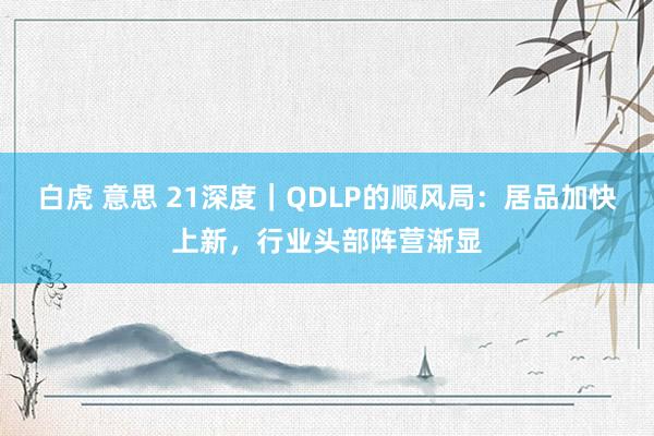 白虎 意思 21深度｜QDLP的顺风局：居品加快上新，行业头部阵营渐显