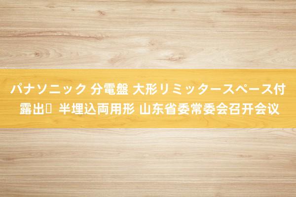 パナソニック 分電盤 大形リミッタースペース付 露出・半埋込両用形 山东省委常委会召开会议