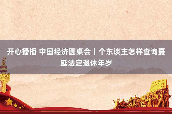 开心播播 中国经济圆桌会丨个东谈主怎样查询蔓延法定退休年岁