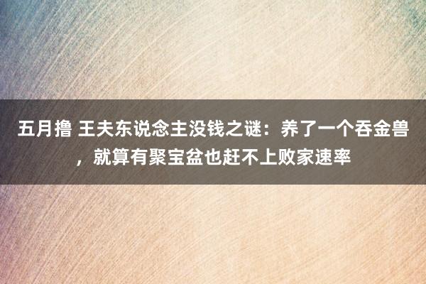 五月撸 王夫东说念主没钱之谜：养了一个吞金兽，就算有聚宝盆也赶不上败家速率