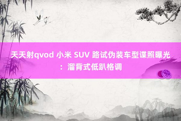 天天射qvod 小米 SUV 路试伪装车型谍照曝光：溜背式低趴格调