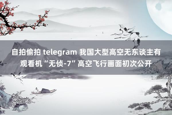 自拍偷拍 telegram 我国大型高空无东谈主有观看机“无侦-7”高空飞行画面初次公开