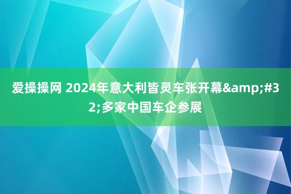 爱操操网 2024年意大利皆灵车张开幕&#32;多家中国车企参展