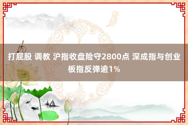 打屁股 调教 沪指收盘险守2800点 深成指与创业板指反弹逾1%