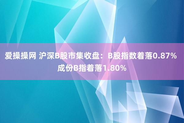 爱操操网 沪深B股市集收盘：B股指数着落0.87% 成份B指着落1.80%