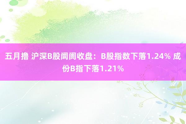 五月撸 沪深B股阛阓收盘：B股指数下落1.24% 成份B指下落1.21%