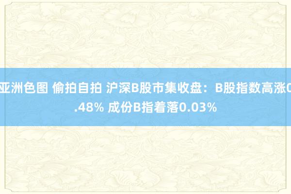 亚洲色图 偷拍自拍 沪深B股市集收盘：B股指数高涨0.48% 成份B指着落0.03%