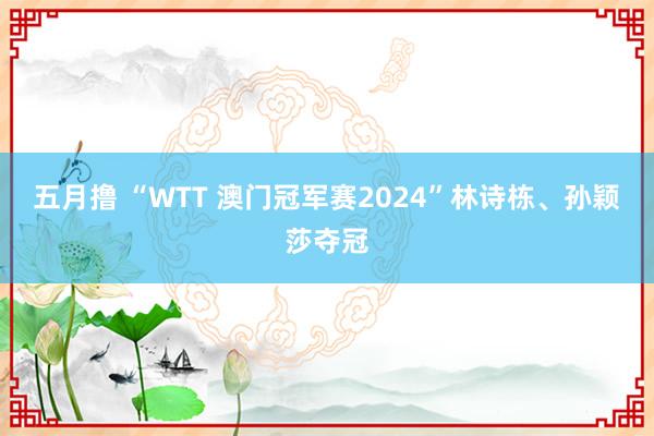 五月撸 “WTT 澳门冠军赛2024”林诗栋、孙颖莎夺冠