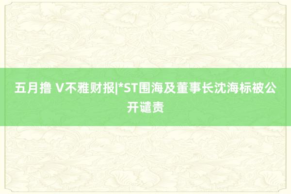 五月撸 V不雅财报|*ST围海及董事长沈海标被公开谴责