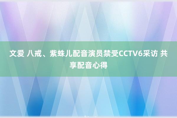 文爱 八戒、紫蛛儿配音演员禁受CCTV6采访 共享配音心得