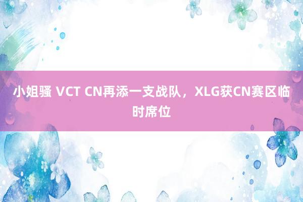 小姐骚 VCT CN再添一支战队，XLG获CN赛区临时席位