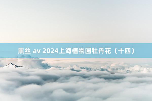 黑丝 av 2024上海植物园牡丹花（十四）