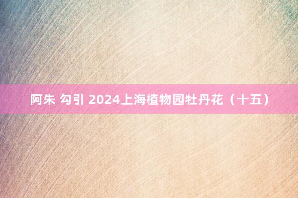 阿朱 勾引 2024上海植物园牡丹花（十五）