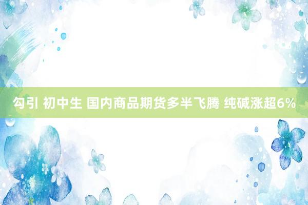 勾引 初中生 国内商品期货多半飞腾 纯碱涨超6%