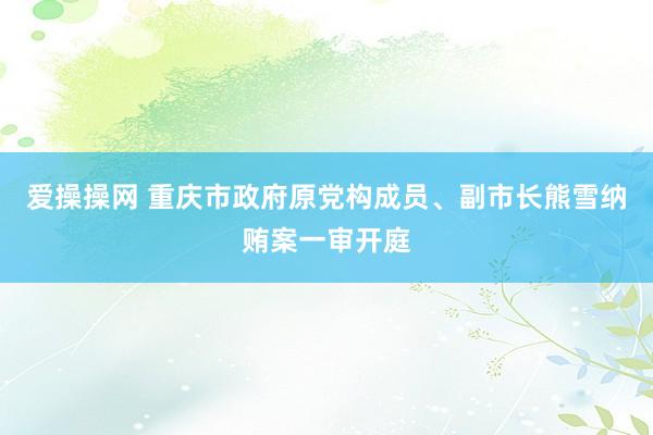 爱操操网 重庆市政府原党构成员、副市长熊雪纳贿案一审开庭