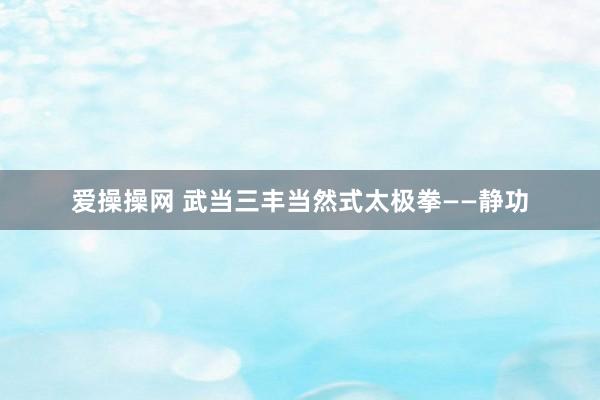 爱操操网 武当三丰当然式太极拳——静功