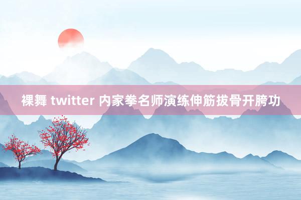 裸舞 twitter 内家拳名师演练伸筋拔骨开胯功