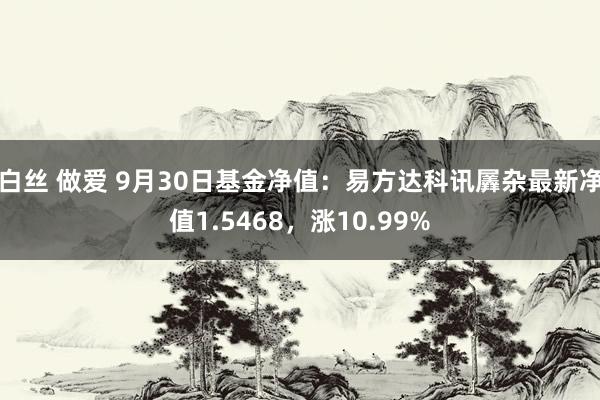 白丝 做爱 9月30日基金净值：易方达科讯羼杂最新净值1.5468，涨10.99%