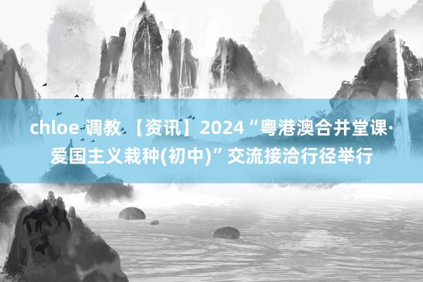 chloe 调教 【资讯】2024“粤港澳合并堂课·爱国主义栽种(初中)”交流接洽行径举行