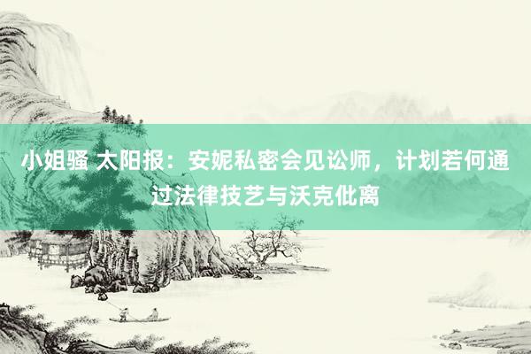 小姐骚 太阳报：安妮私密会见讼师，计划若何通过法律技艺与沃克仳离