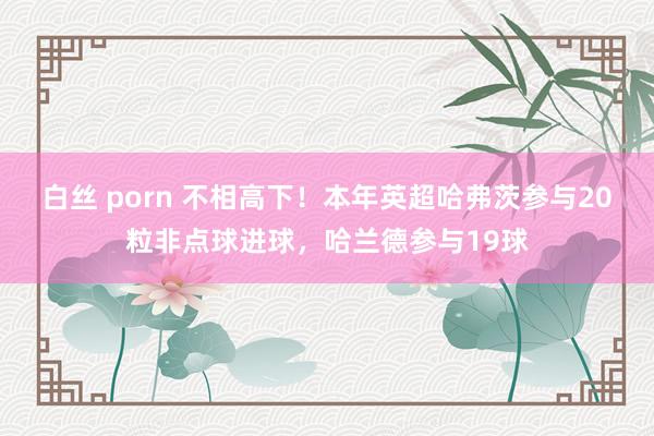 白丝 porn 不相高下！本年英超哈弗茨参与20粒非点球进球，哈兰德参与19球