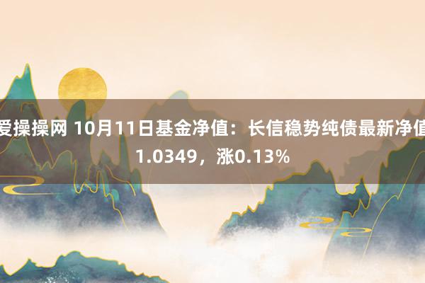 爱操操网 10月11日基金净值：长信稳势纯债最新净值1.0349，涨0.13%