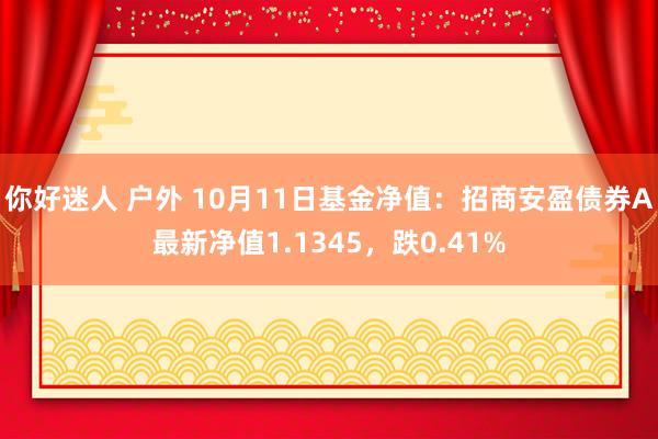 你好迷人 户外 10月11日基金净值：招商安盈债券A最新净值1.1345，跌0.41%