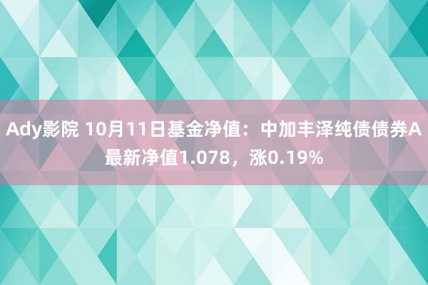 Ady影院 10月11日基金净值：中加丰泽纯债债券A最新净值1.078，涨0.19%