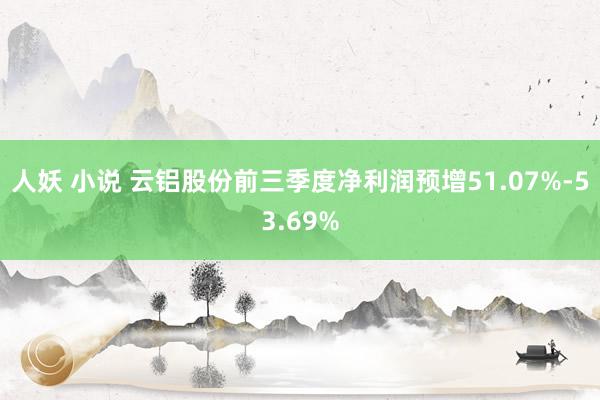 人妖 小说 云铝股份前三季度净利润预增51.07%-53.69%