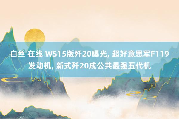 白丝 在线 WS15版歼20曝光， 超好意思军F119发动机， 新式歼20成公共最强五代机