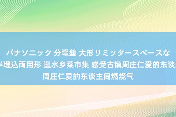 パナソニック 分電盤 大形リミッタースペースなし 露出・半埋込両用形 逛水乡菜市集 感受古镇周庄仁爱的东谈主间燃烧气