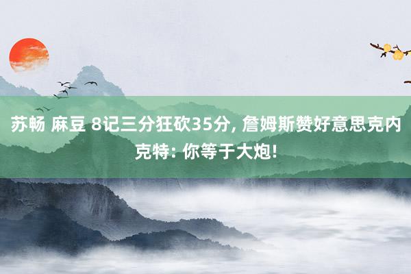 苏畅 麻豆 8记三分狂砍35分， 詹姆斯赞好意思克内克特: 你等于大炮!