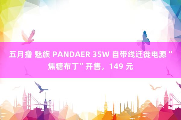 五月撸 魅族 PANDAER 35W 自带线迁徙电源“焦糖布丁”开售，149 元