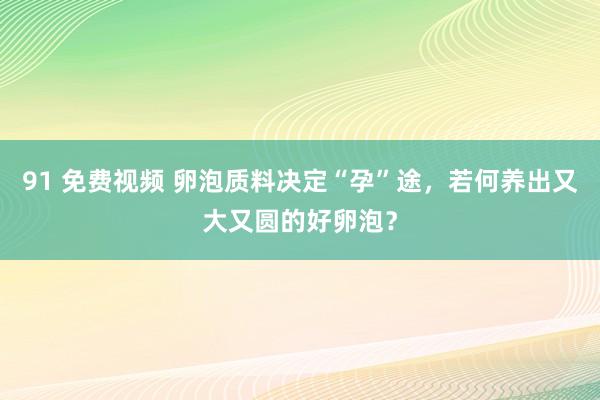 91 免费视频 卵泡质料决定“孕”途，若何养出又大又圆的好卵泡？