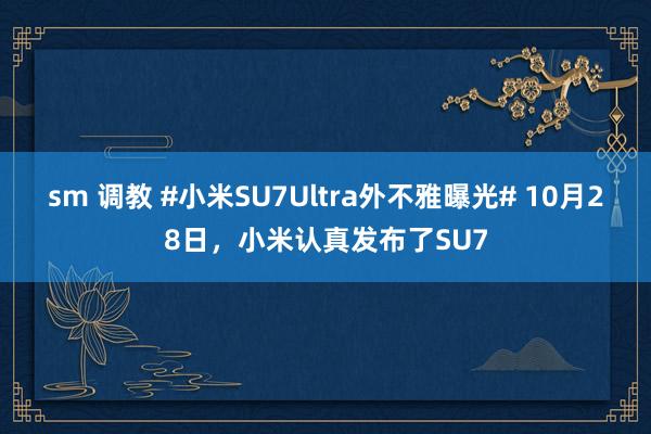 sm 调教 #小米SU7Ultra外不雅曝光# 10月28日，小米认真发布了SU7