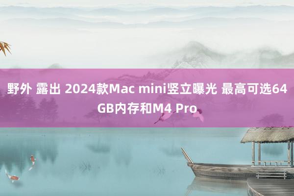 野外 露出 2024款Mac mini竖立曝光 最高可选64GB内存和M4 Pro