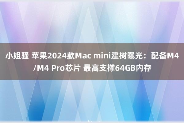 小姐骚 苹果2024款Mac mini建树曝光：配备M4/M4 Pro芯片 最高支撑64GB内存