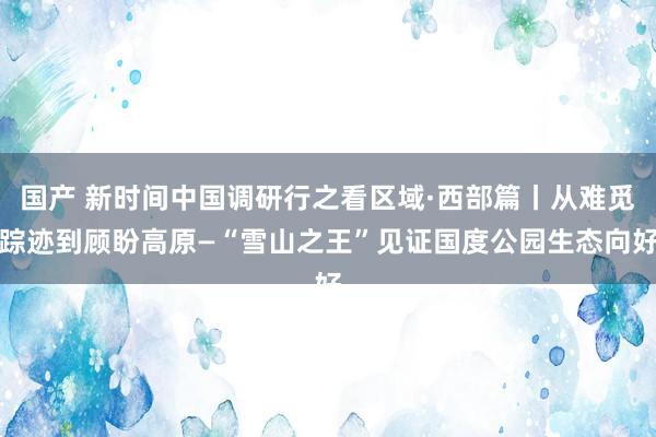 国产 新时间中国调研行之看区域·西部篇丨从难觅踪迹到顾盼高原—“雪山之王”见证国度公园生态向好