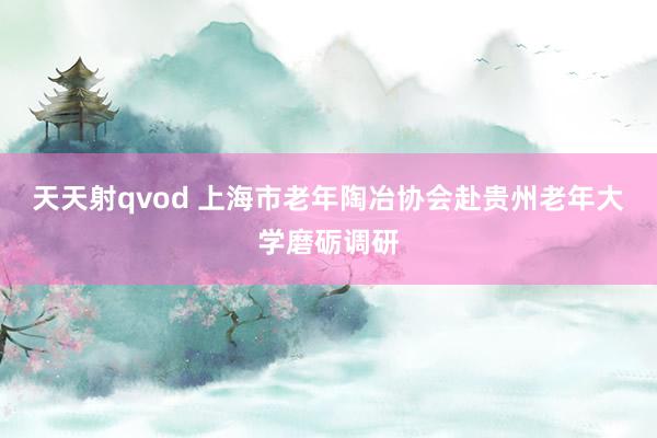 天天射qvod 上海市老年陶冶协会赴贵州老年大学磨砺调研