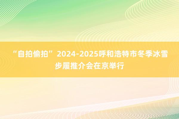 “自拍偷拍” 2024-2025呼和浩特市冬季冰雪步履推介会在京举行