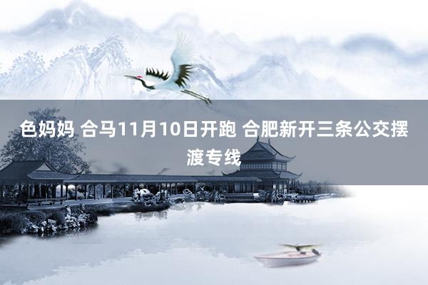 色妈妈 合马11月10日开跑 合肥新开三条公交摆渡专线