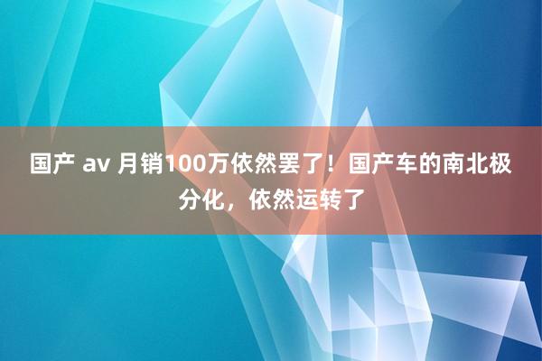 国产 av 月销100万依然罢了！国产车的南北极分化，依然运转了