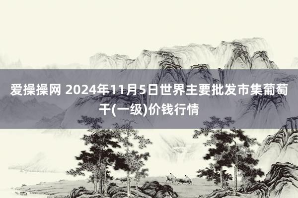 爱操操网 2024年11月5日世界主要批发市集葡萄干(一级)价钱行情