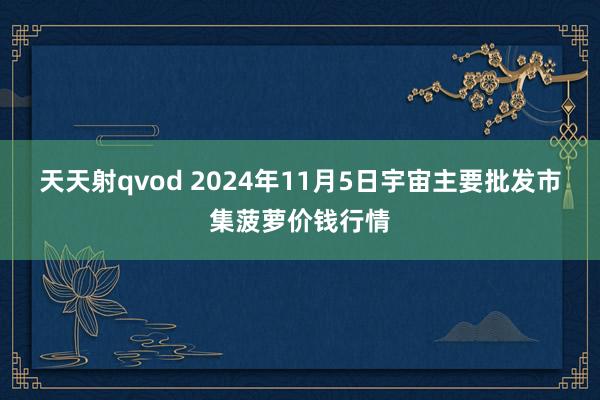 天天射qvod 2024年11月5日宇宙主要批发市集菠萝价钱行情