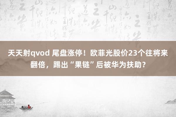 天天射qvod 尾盘涨停！欧菲光股价23个往将来翻倍，踢出“果链”后被华为扶助？