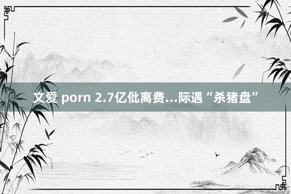 文爱 porn 2.7亿仳离费...际遇“杀猪盘”