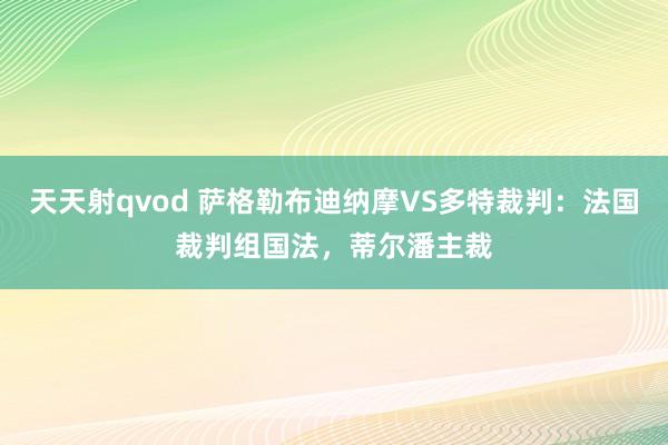 天天射qvod 萨格勒布迪纳摩VS多特裁判：法国裁判组国法，蒂尔潘主裁