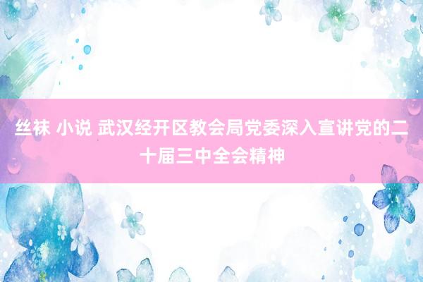 丝袜 小说 武汉经开区教会局党委深入宣讲党的二十届三中全会精神