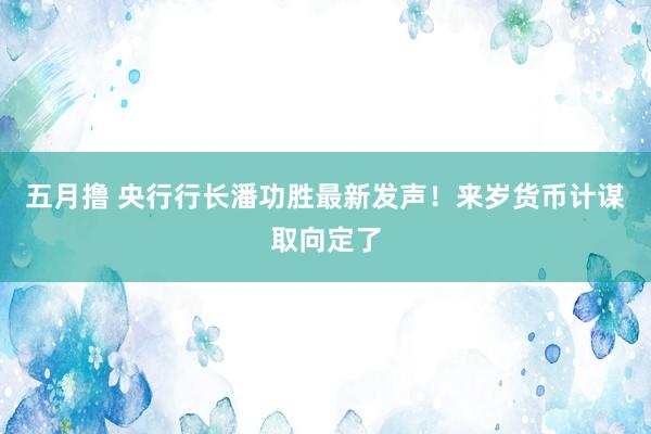 五月撸 央行行长潘功胜最新发声！来岁货币计谋取向定了